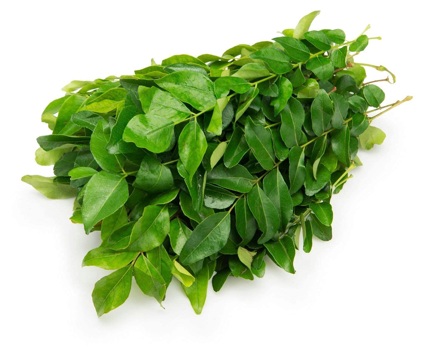 Curry Leaves